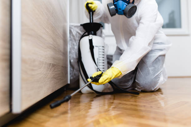 Best Wasp Removal Services  in Dupont, PA
