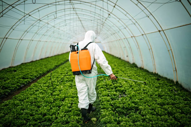 Best Local Pest Control Services  in Dupont, PA