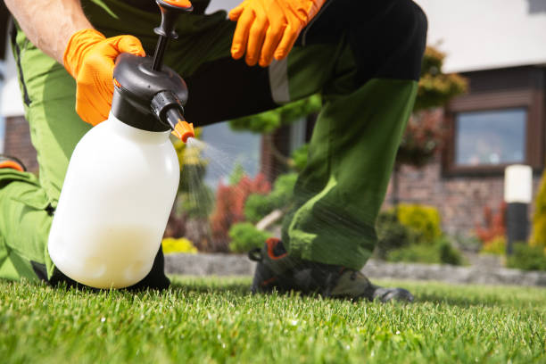Best Best Pest Control Companies  in Dupont, PA