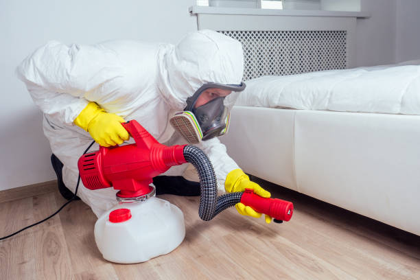 Best Affordable Pest Control Services  in Dupont, PA