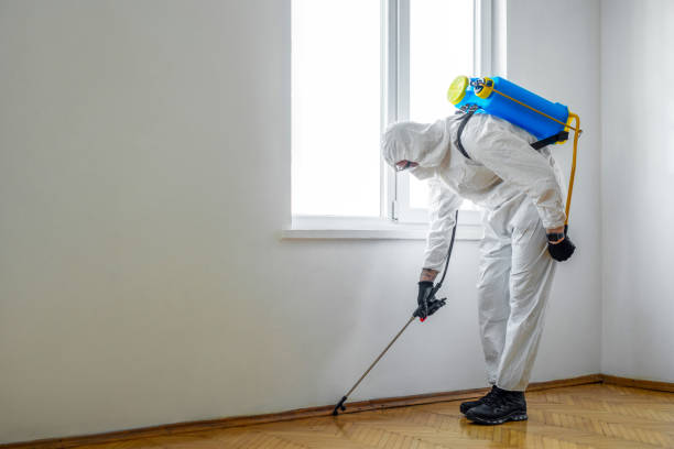 Reliable Dupont, PA Pest Control Solutions
