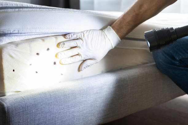 Best Pest Prevention Services  in Dupont, PA