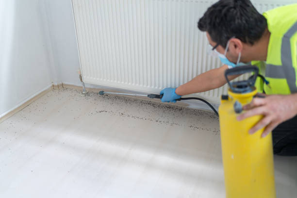Best Pest Inspection Near Me  in Dupont, PA